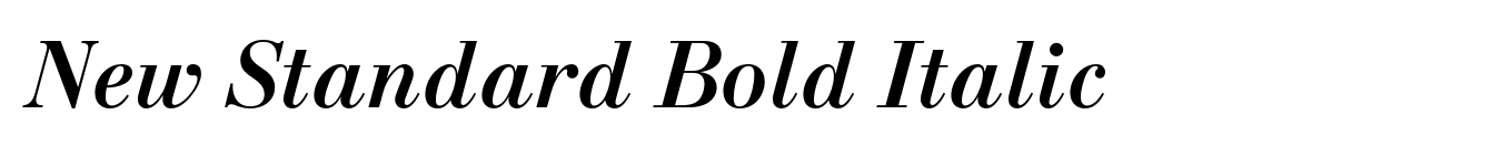 New Standard Bold Italic